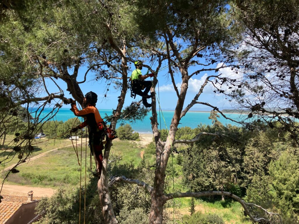 Lavori in corda – Cala di Forno